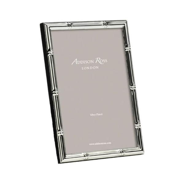 Addison Ross - 8x10 Bamboo Silver Frame