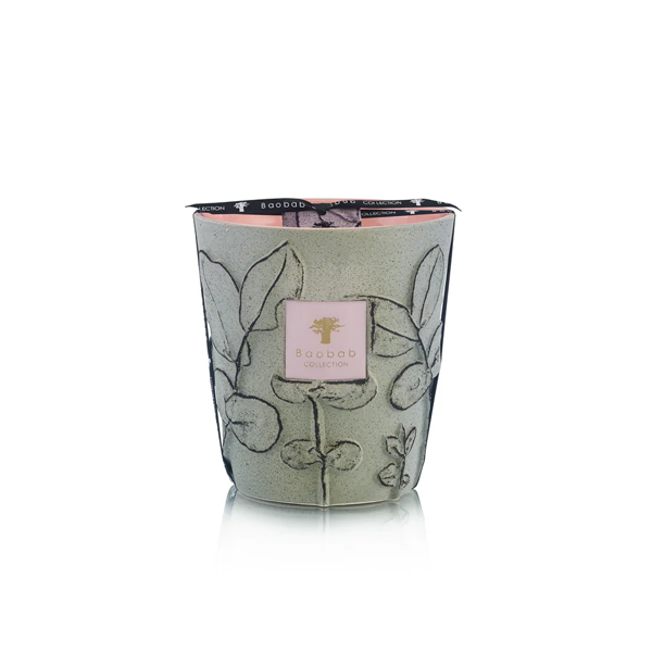 Baobab - Max 16 Folia Maquis