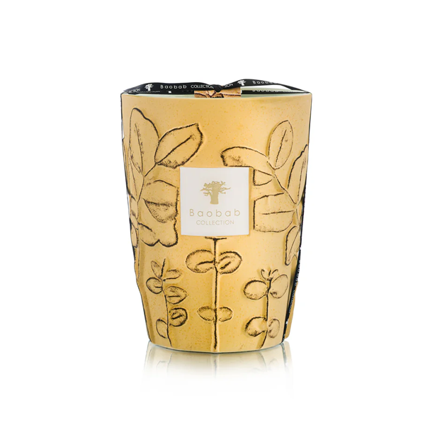 Baobab - Max 24 Folia Garrigue