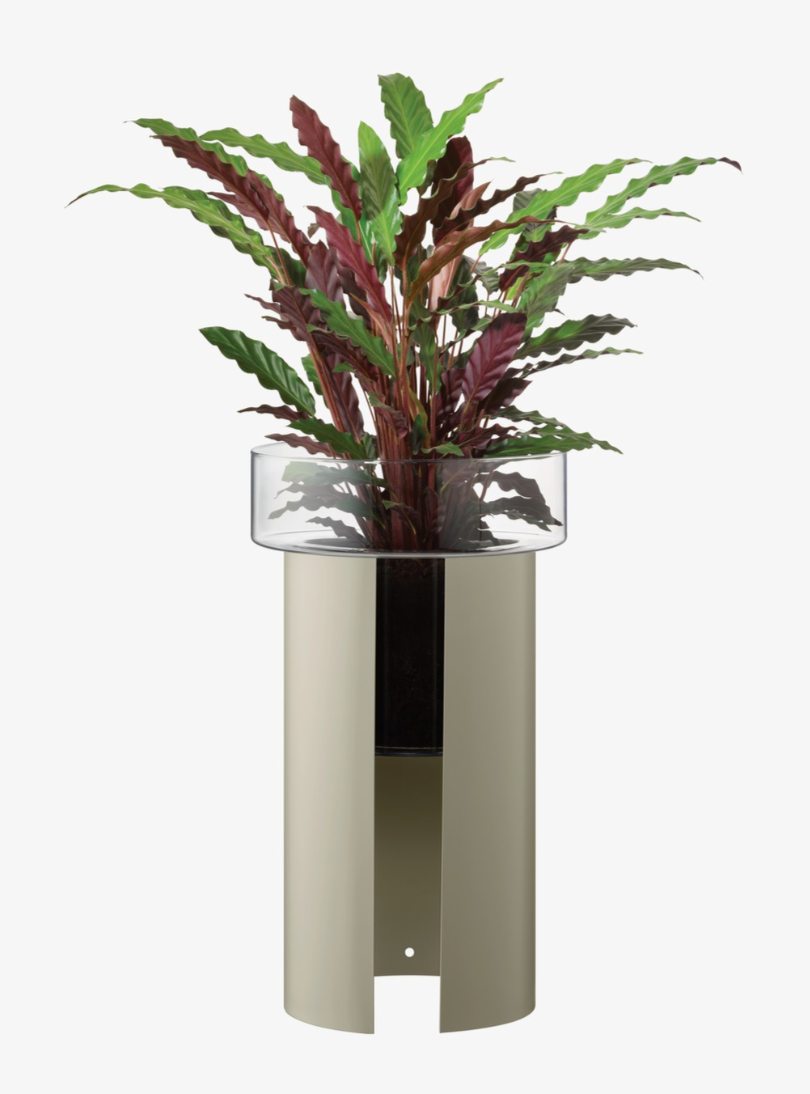 LSA - Terrazza Planter H75 ø32 Clear Concrete Grey