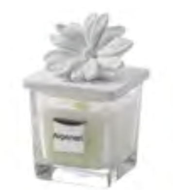 Argenesi - Square Glass Candle - Anemone