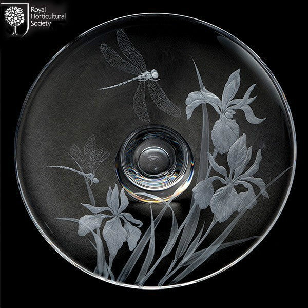 Dartington Crystal RHS Gallery Iris & Dragonflies Centrepiece - Large