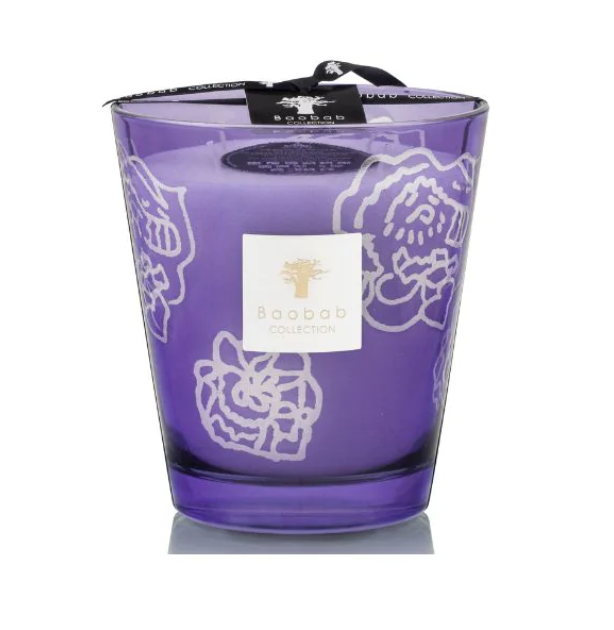 Baobab - Max 16 Collectible Roses Dark Parma