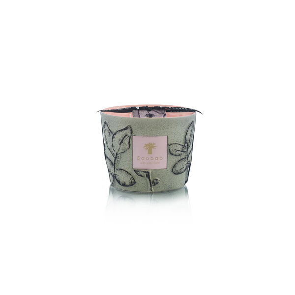 Baobab - Max 10 Folia Maquis