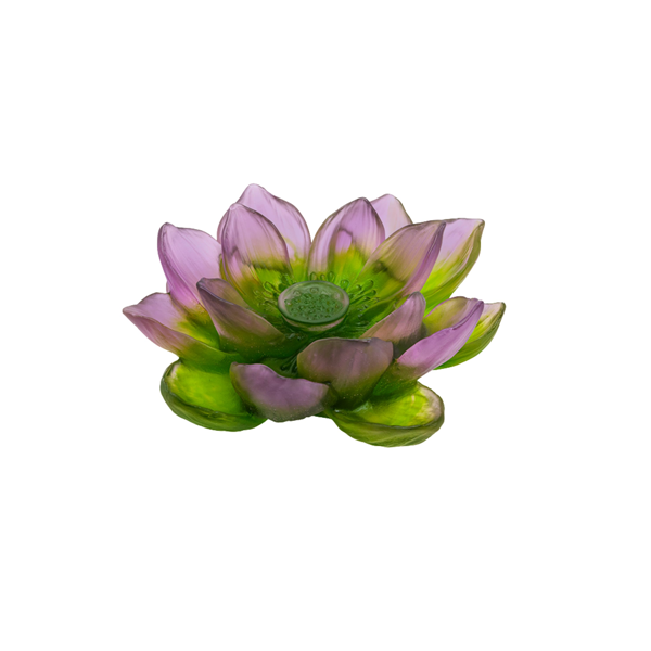 Daum - Jardin de Lotus - Green & Pink