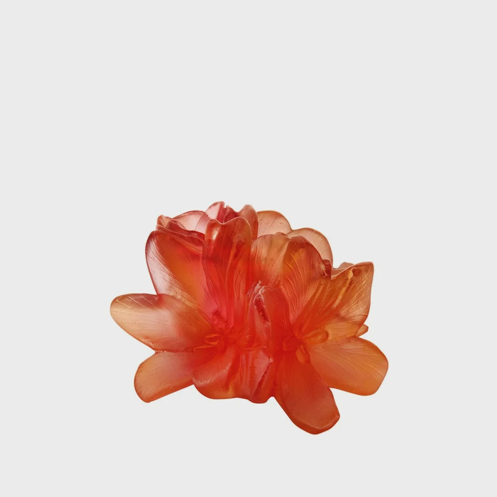 Daum - Saffron Decorative Flower